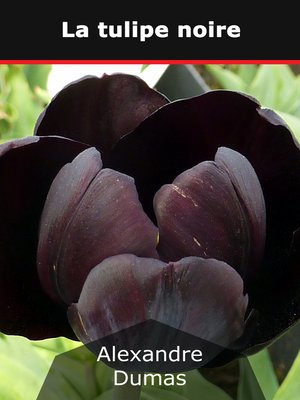 cover image of La tulipe noire